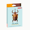 Studio Roof Elephant Beetle | Conscious Craft